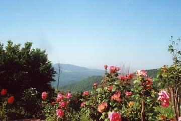 Agriturismo per 4 Persone in Passignano sul Trasimeno, Lago Trasimeno, Foto 3