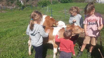 Ferienwohnung für 4 Personen in Neumarkt in Steiermark, Westliche Obersteiermark, Bild 2