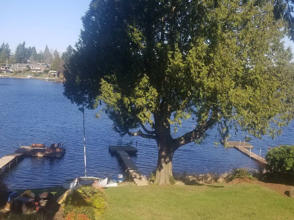 Ganze Wohnung, Seattle Tacoma · Seattle / Flughafen / Stadtbahn / Seatac / 1 Zim. Wohnung / Haus am Wasser in SeaTac, King County