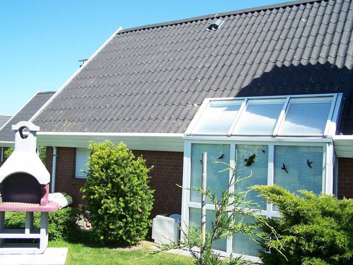 Ferienhaus für 4 Personen, mit Garten in Schönhagen - 4