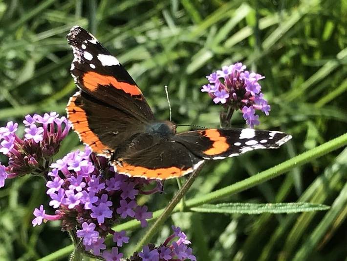 Ferienhaus für 6 Personen in Jade - 3