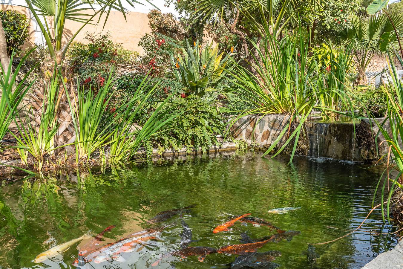 Ganze Wohnung, Tetuan 43 - Oasis Properties in El Capistrano, Costa del Sol