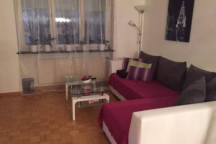 Ganze Wohnung, Suite, Bedroom,Bathroom,Kitchen in Basel, Region Basel RDK