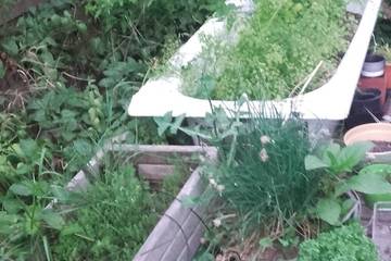Maison D’hôte pour 2 Personnes dans Porto-Vecchio, Arrondissement de Sartène, Photo 2