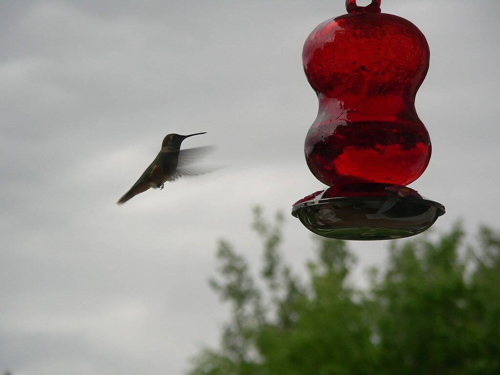 Ganze Wohnung, Schönes 2 Schlafzimmer Loft im Herzen der Innenstadt Jetzt mit Klimaanlage. in Estes Park, Larimer County