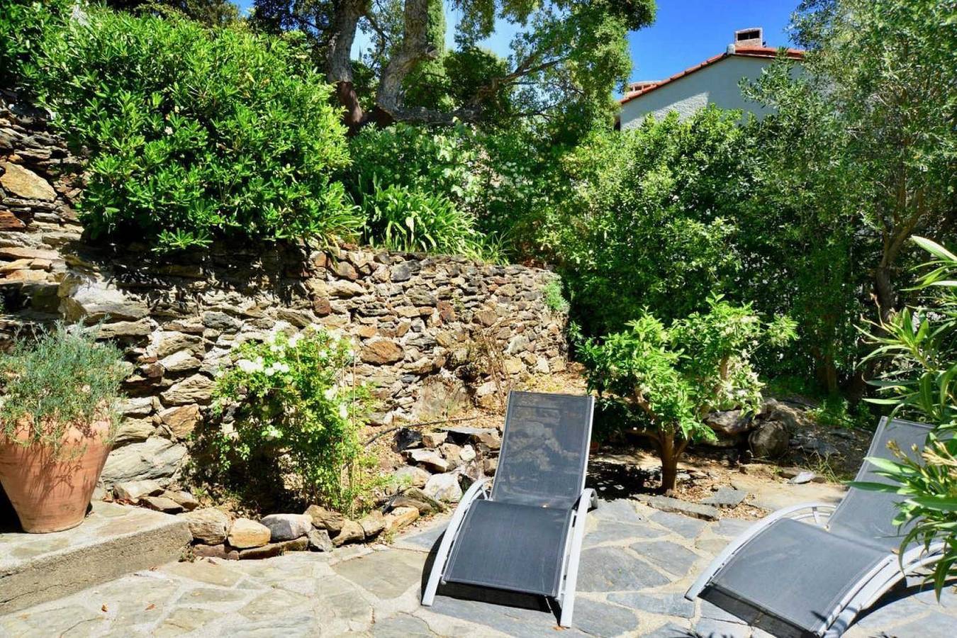 Les Mimosas de Collioure in La Côte Vermeille, Collioure