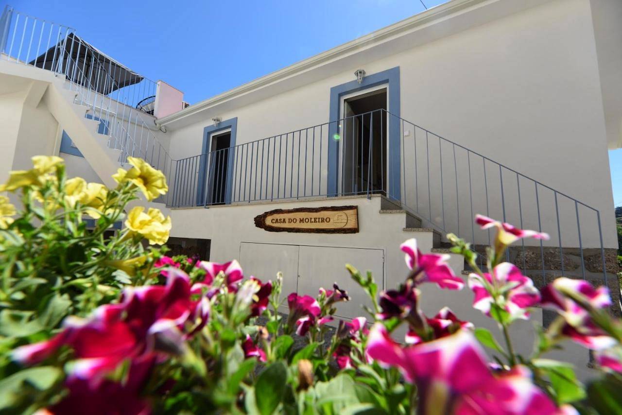 Apartamento inteiro, Casa do Moleiro in Amarante, Distrito do Porto