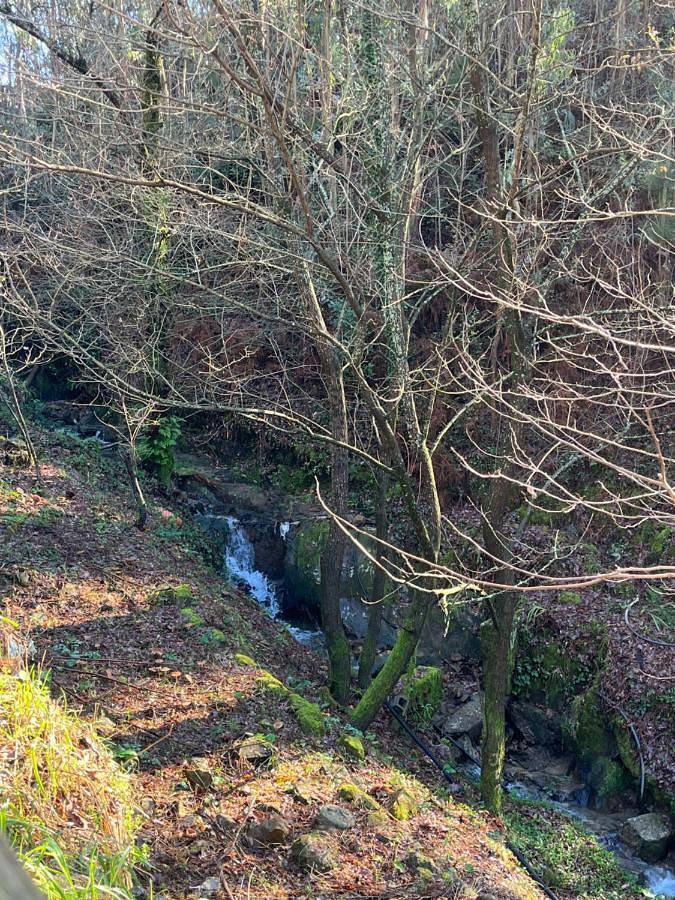 Gîte pour 3 personnes, avec vue et jardin à Lousada - 3
