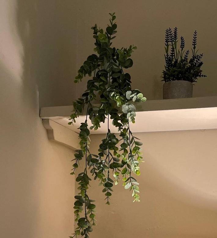 Location de vacances pour 3 personnes, avec piscine ainsi que jardin et jacuzzi à Villamblard - 4