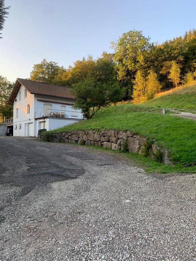 Location de vacances pour 8 personnes, avec jardin ainsi que terrasse et vue, animaux acceptés à Saint-Maurice-sur-Moselle - 4