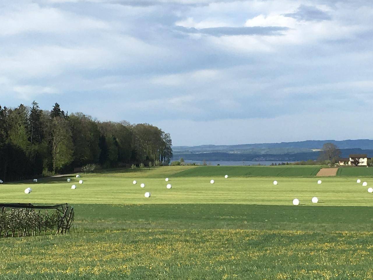 Ganze Ferienwohnung, Design-Ferienwohnung mit Traumterrasse und Garten nähe Bodensee in Bodensee (Schweiz)