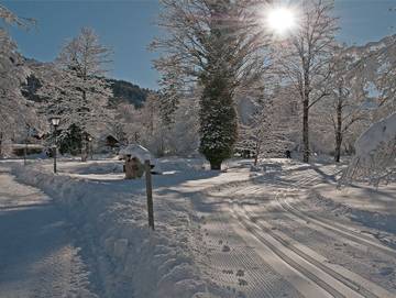 Hotel für 2 Personen in Kreuth, Alpenland Tegernsee Schliersee, Bild 4