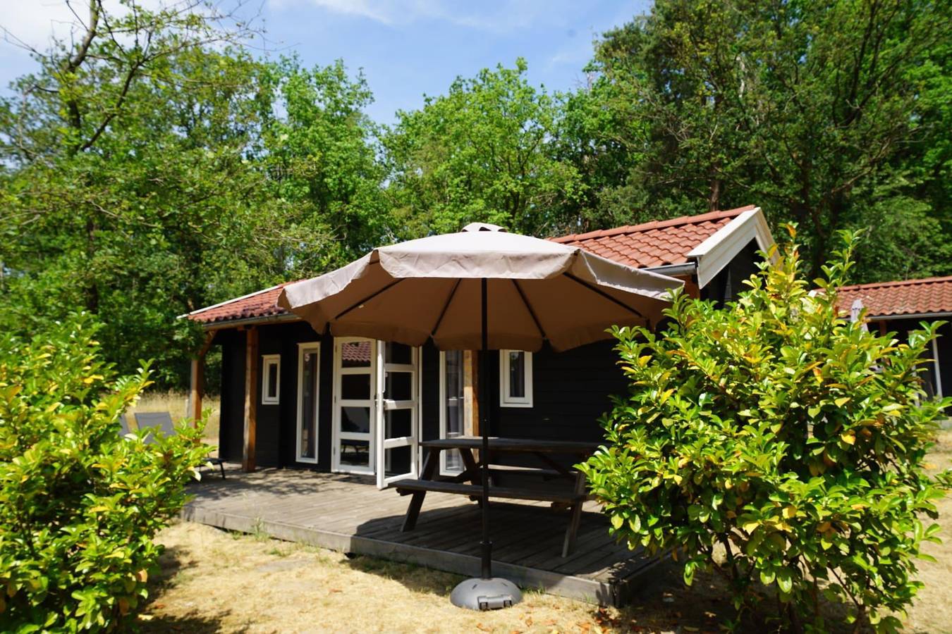 Europarcs Ruinen — Drentse kap 4 in Ruinen, Nationalpark Dwingelderveld