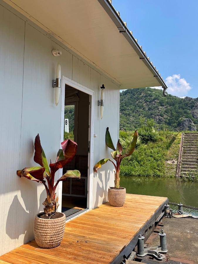 Bateau pour 4 personnes, avec vue et terrasse, animaux acceptés à Sankt Goar - 3