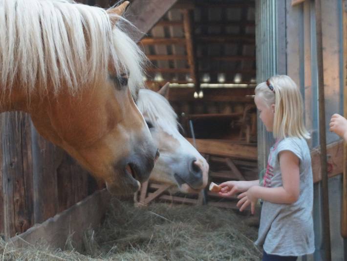 Ferienhaus für 7 Personen, mit Garten, kinderfreundlich in Rhauderfehn - 4