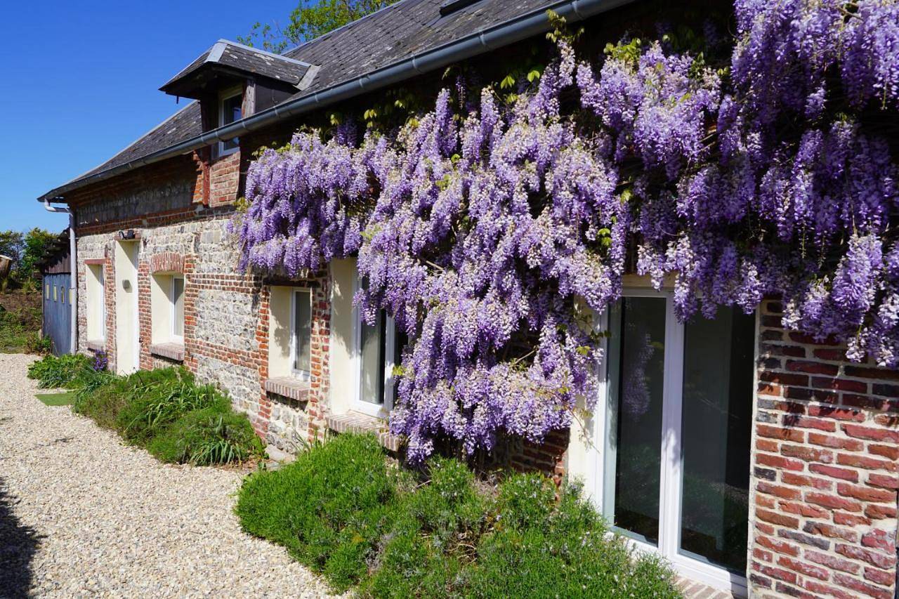 La Glycine Maison 1.5 km Veulettes sur mer in Paluel, Dieppe und Umgebung