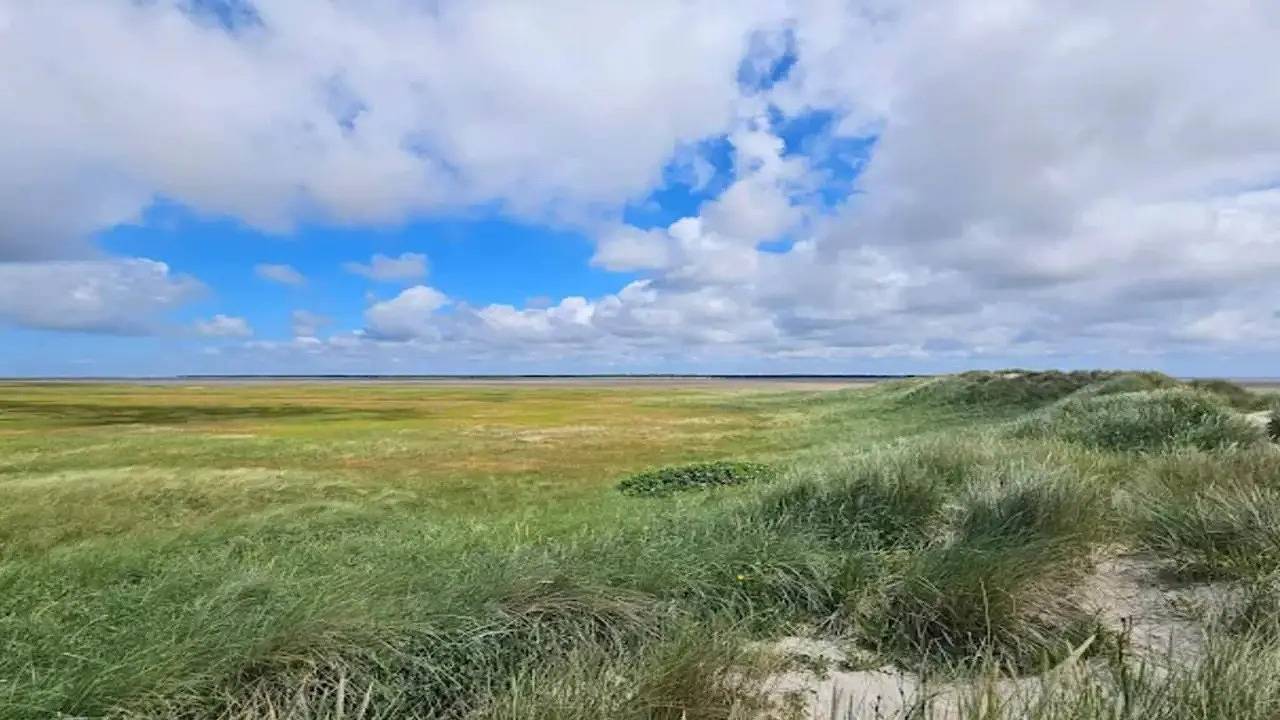 Ferienhaus für 10 Personen (148 m²) in Rømø in Sønderstrand, Havneby