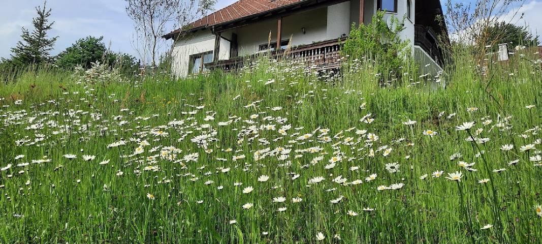 Ferienwohnung für 4 Personen, mit Balkon und Balkon/Terrasse sowie Terrasse und Garten im Fichtelgebirge - 4