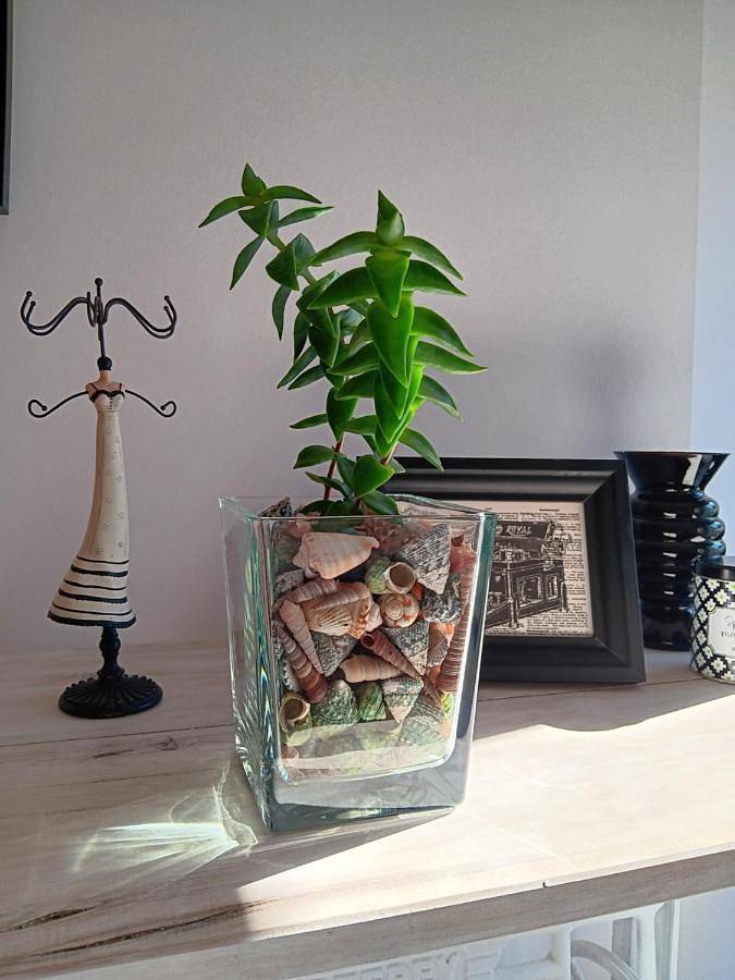 Maison d’hôte pour 5 personnes, avec terrasse