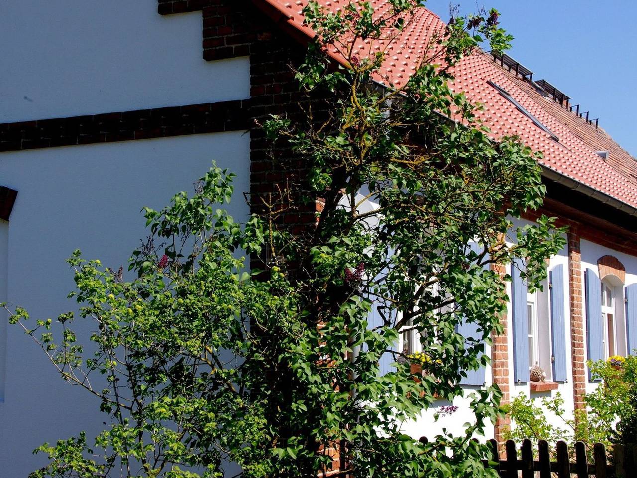 Ganze Ferienwohnung, Ferienwohnung Angeln und Baden - Ferienwohnung Angeln und Baden in Schwinkendorf, Moltzow