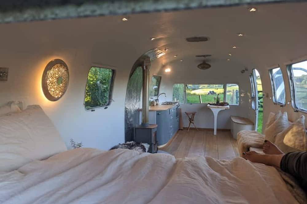 Airstream, vintage American caravan & Hottub in Woodland, Dartmoor