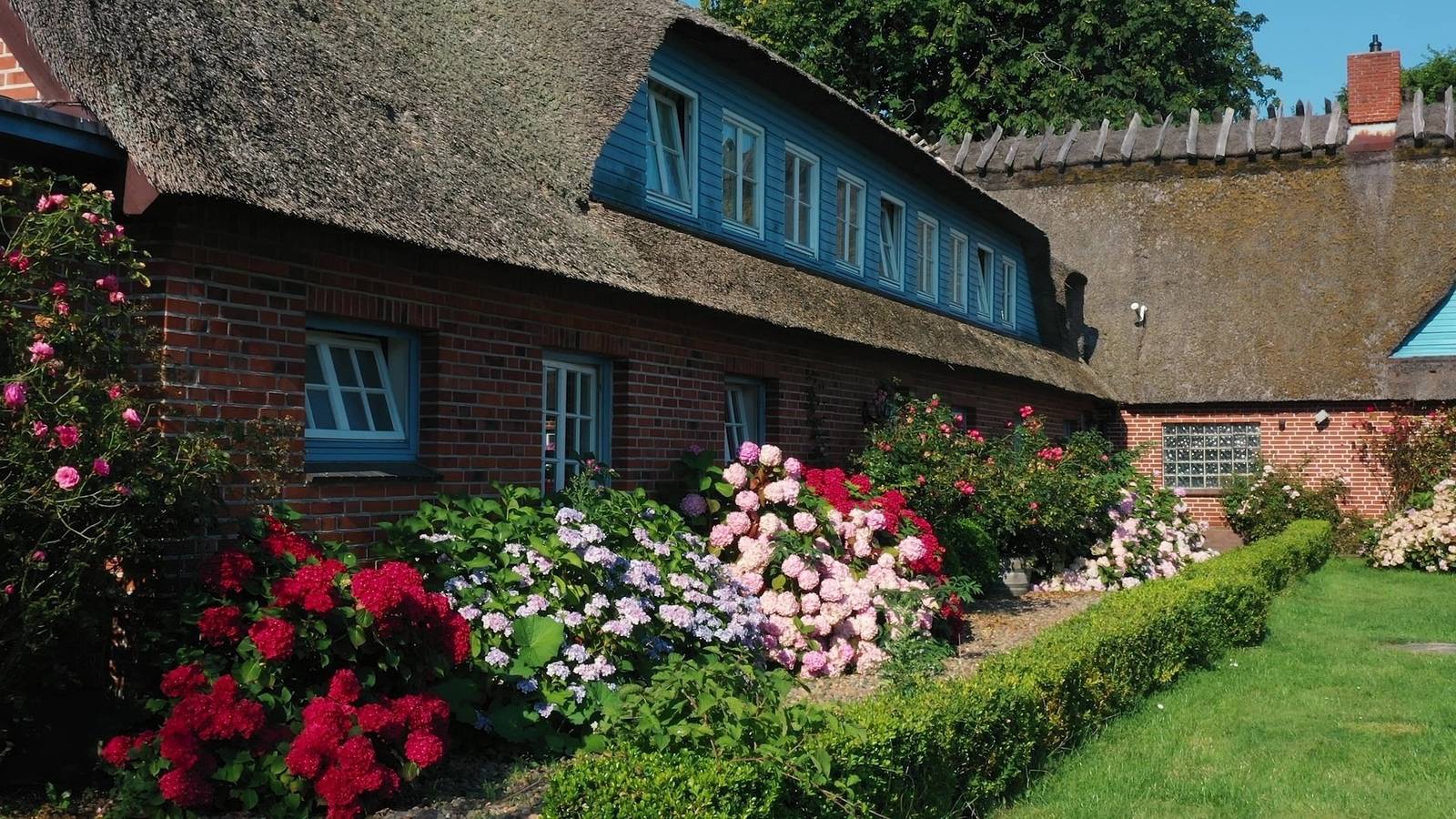 Ganze Ferienwohnung, Strandhaus Falshöft 2 in Geltinger Birk, Nieby