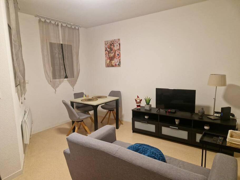 Appartement entier, One-Bedroom Apartment in Rouffiac-Tolosan, Toulouse et ses environs
