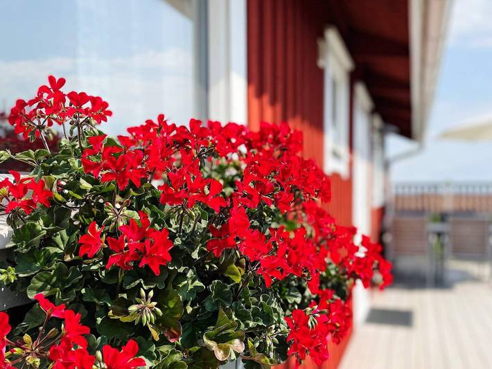 4 Personen Ferienhaus in Onsala in Kungsbacka, Halland