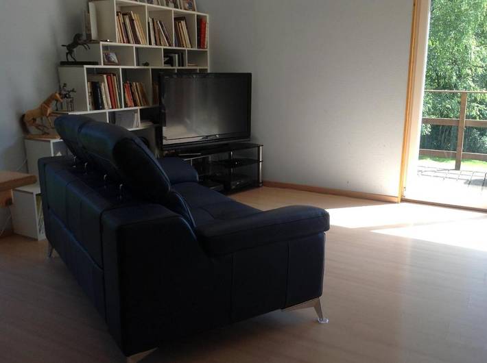 Gîte pour 5 personnes, avec jardin et vue dans Sougné-Remouchamps - 2