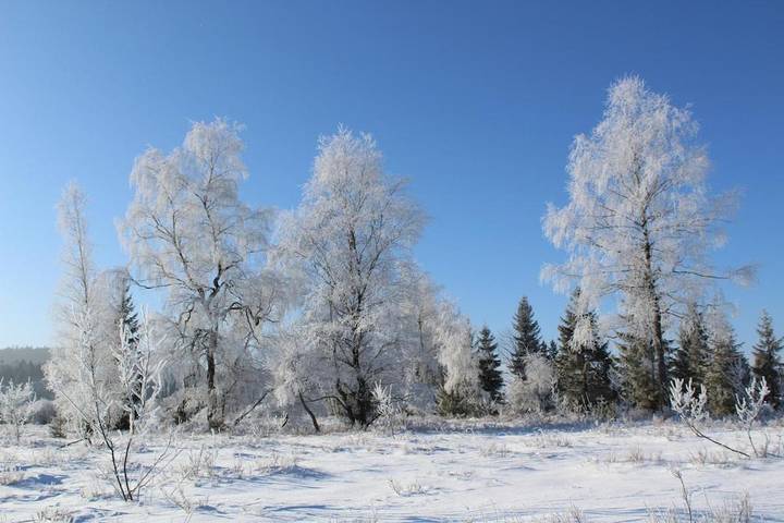 Gîte pour 10 personnes, avec jardin et terrasse, animaux acceptés à Prénovel - 3
