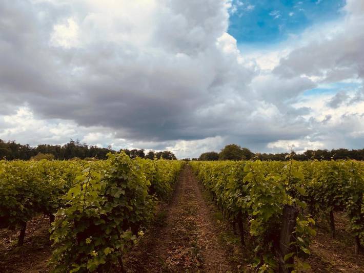 Gîte pour 4 personnes, avec terrasse et vue à Marigny-Brizay - 3