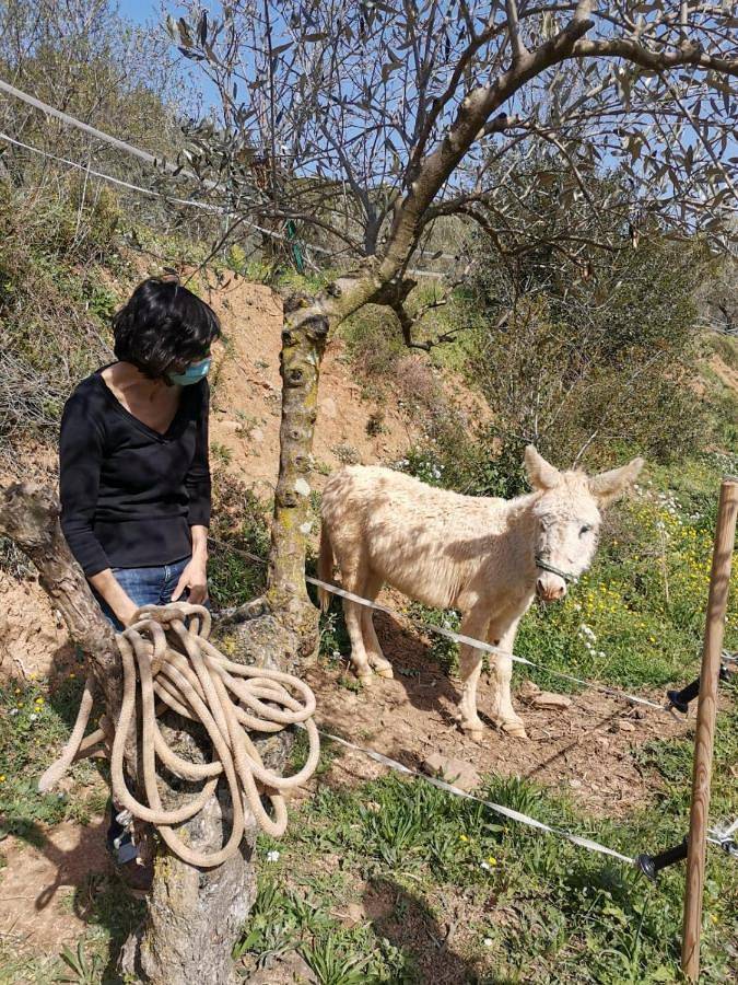 Casa de familia para 2 personas, con piscina y jardín en Provincia de Barcelona - 4