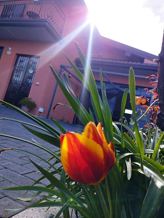 Petite Maison dell'Etna in Milo, Etna