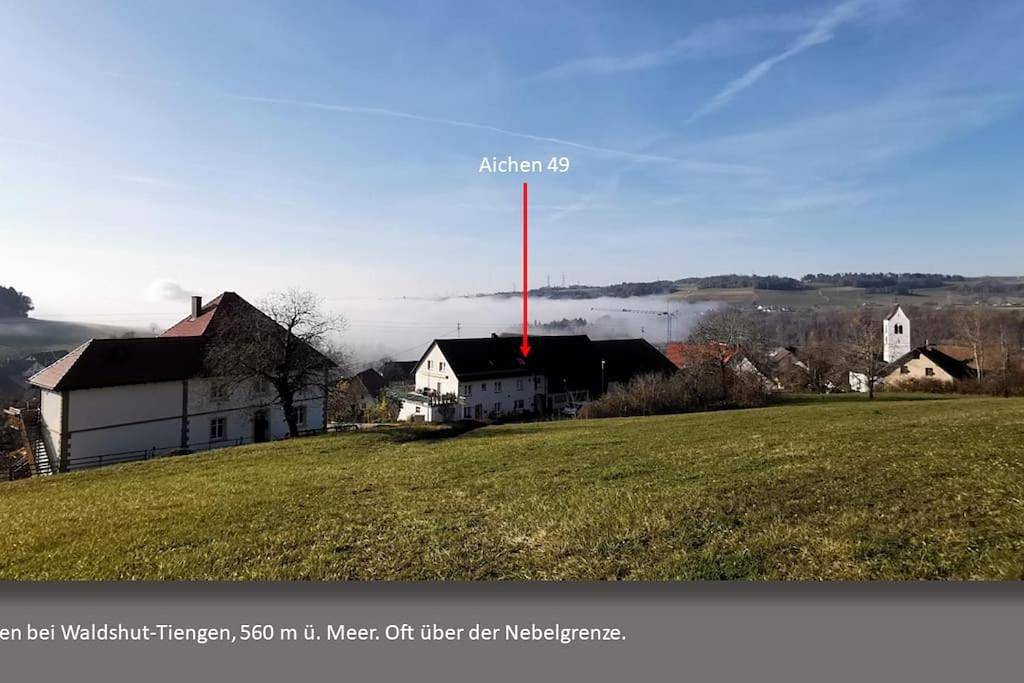 Ganze Wohnung, Großes Apartment Evergreen bis 8 Personen bei Waldshut in Waldshut-Tiengen, Südschwarzwald