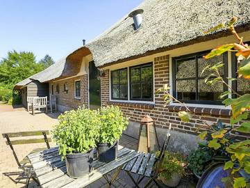 Ferienhaus für 27 Personen, mit Balkon/Terrasse und Terrasse sowie Sauna in den Niederlande