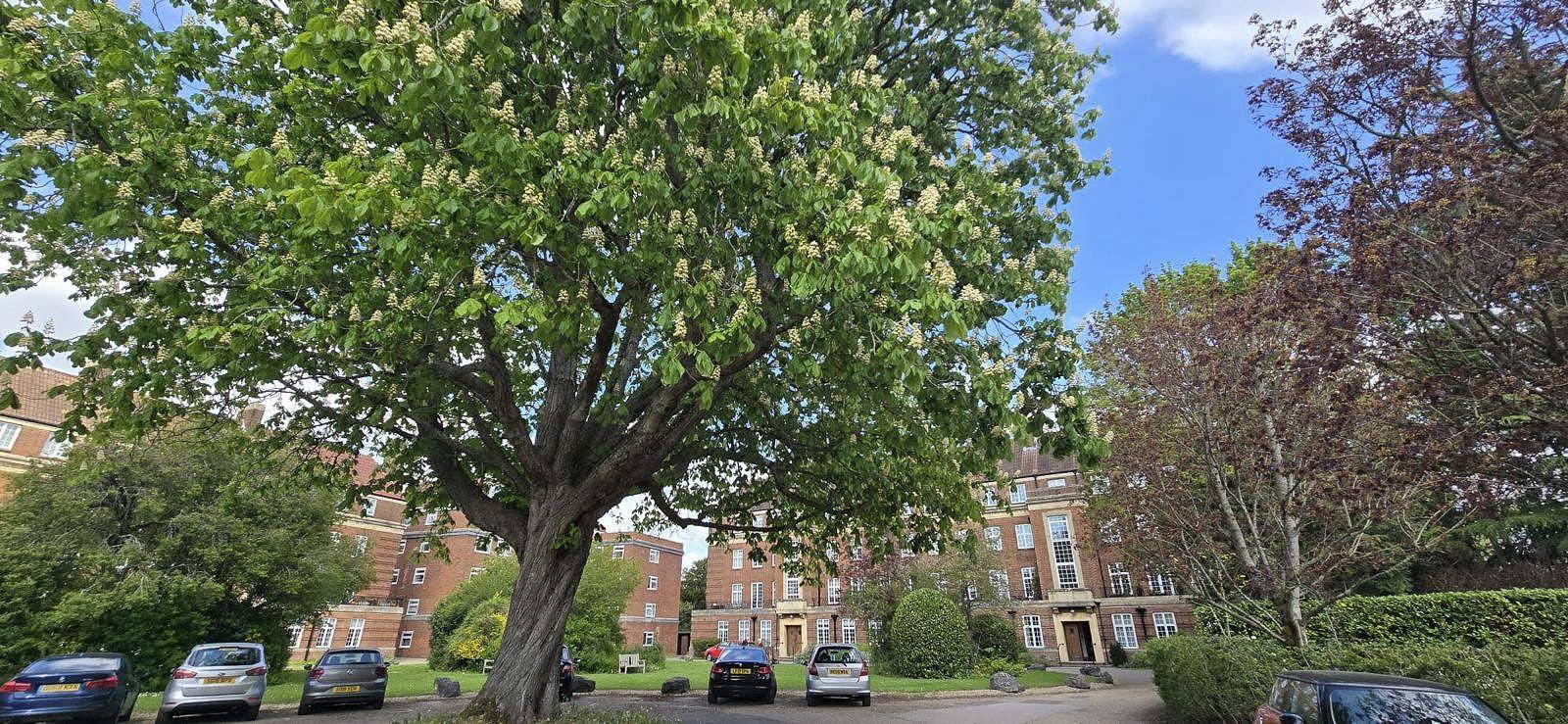 Cozy Retreat in Historic Oxford with free parking in Oxford, Oxfordshire