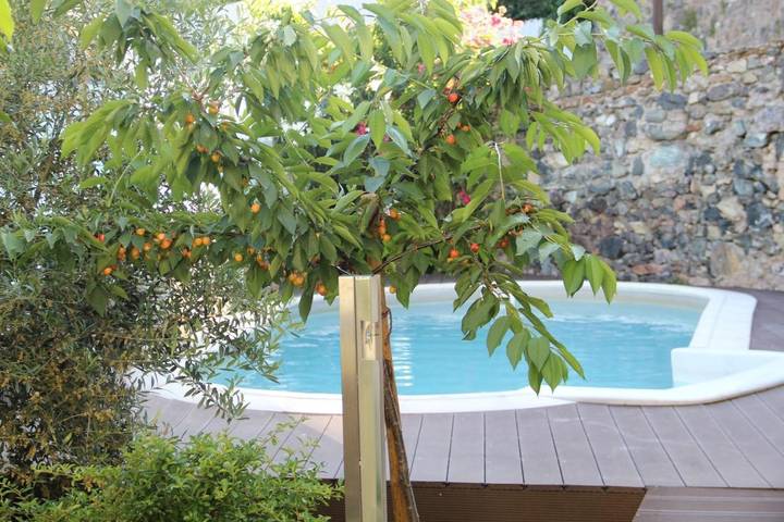 Location de vacances pour 6 personnes, avec bassin pour enfant et piscine ainsi que vue et jardin, animaux acceptés à Bragança - 2