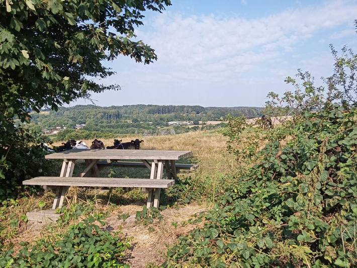 Ferienhaus für 4 Personen in Hadersleben - 4