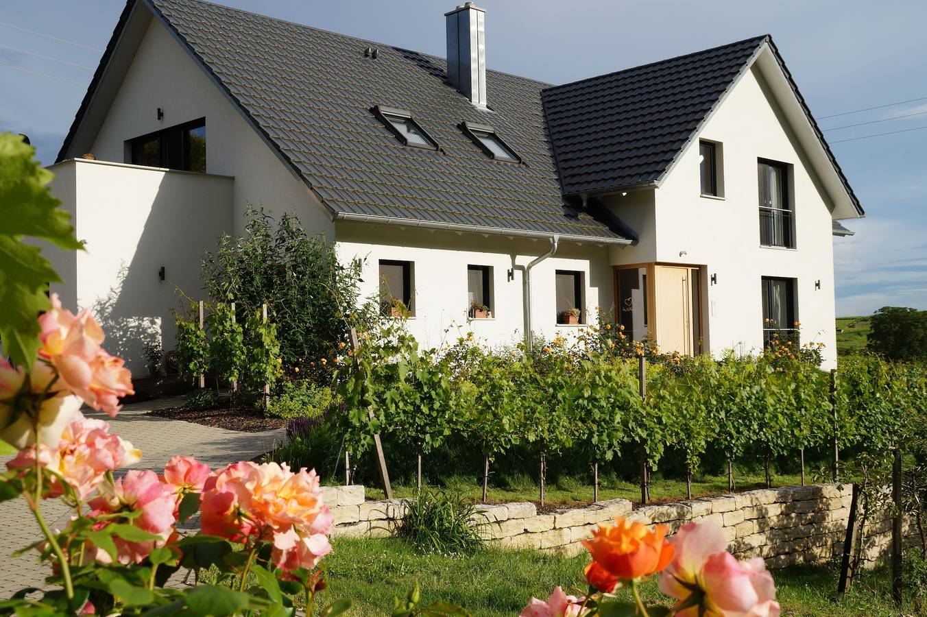 Ganze Ferienwohnung, Maienbrunnenhof - Lenzenberg, 38 qm, 1-2 Personen in Ihringen, Kaiserstuhl