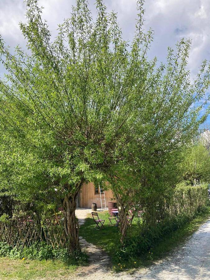 Location de vacances pour 10 personnes, avec terrasse ainsi que jardin et vue, animaux acceptés à Lescheraines - 4