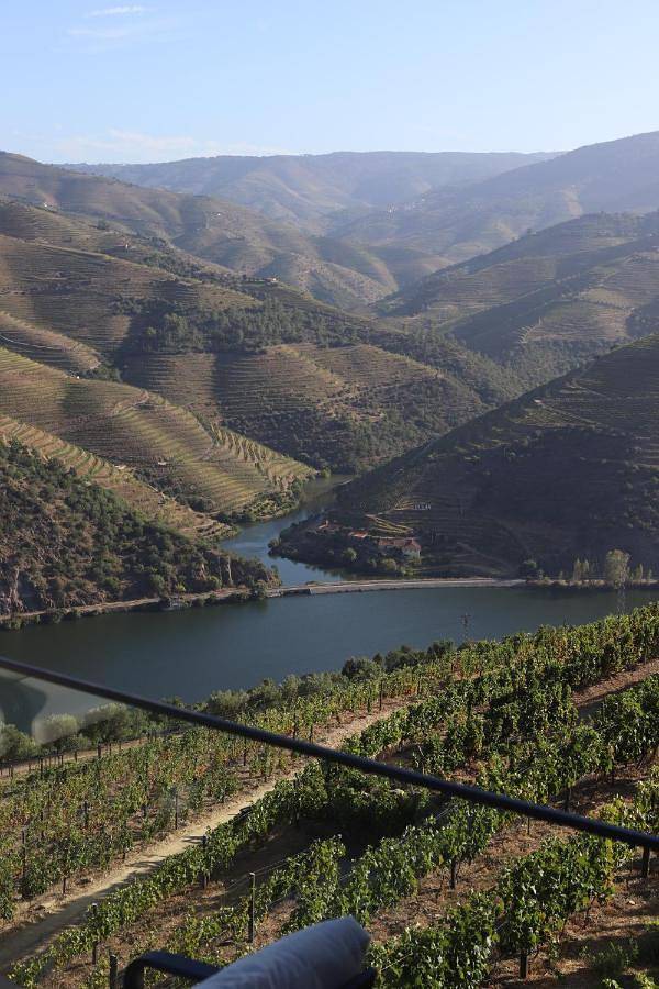 Alojamiento y desayuno para 2 personas, con jardín y piscina en Distrito de Viseu - 2