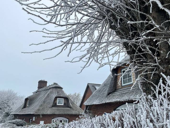 Ferienwohnung für 3 Personen, mit Garten in Dörphof - 2