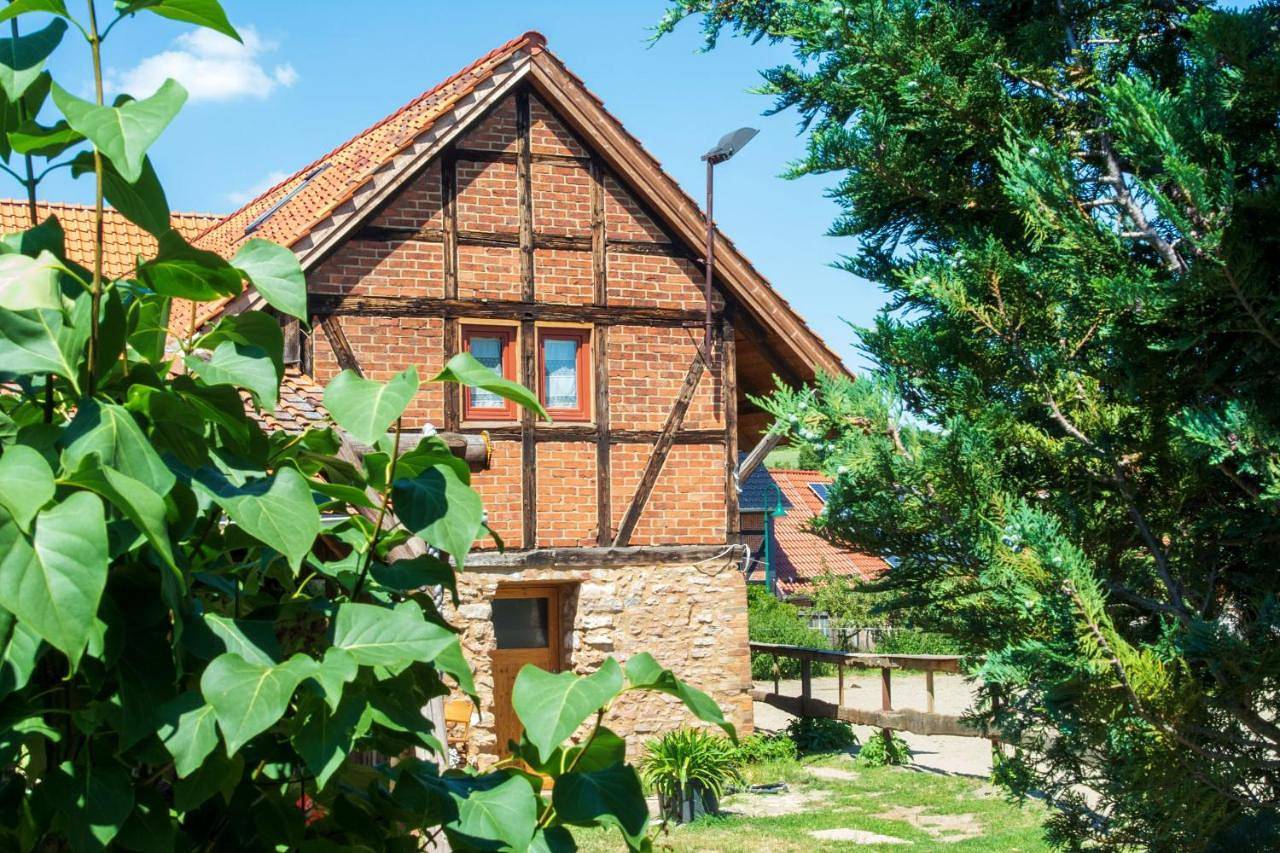 Ganze Wohnung, Two-Bedroom Apartment in Wienrode, Blankenburg