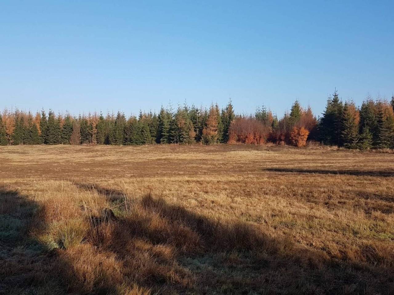 6 Personas casa en Grenaa in Skærbæk, Región de Tønder