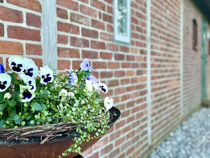 Ferienhaus für 4 Personen, mit Terrasse und Garten sowie Ausblick auf Eiderstedt - 3