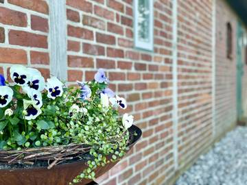 Ferienhaus für 4 Personen in Norderfriedrichskoog, Nordseeküste, Bild 2
