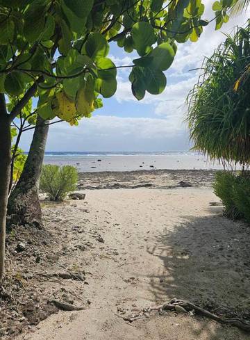 Gîte pour 4 personnes, avec terrasse dans Papeari