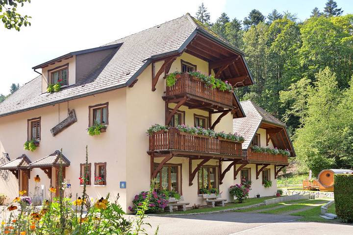 Location de vacances pour 3 personnes, avec jacuzzi ainsi que piscine et sauna au Parc naturel régional des Ballons des Vosges - 2