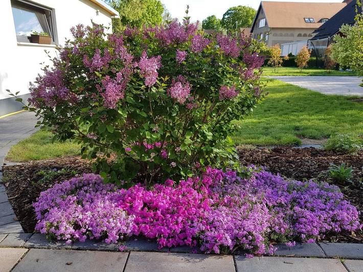 Ferienhaus für 5 Personen, mit Terrasse und Garten, mit Haustier im Spreewald - 4