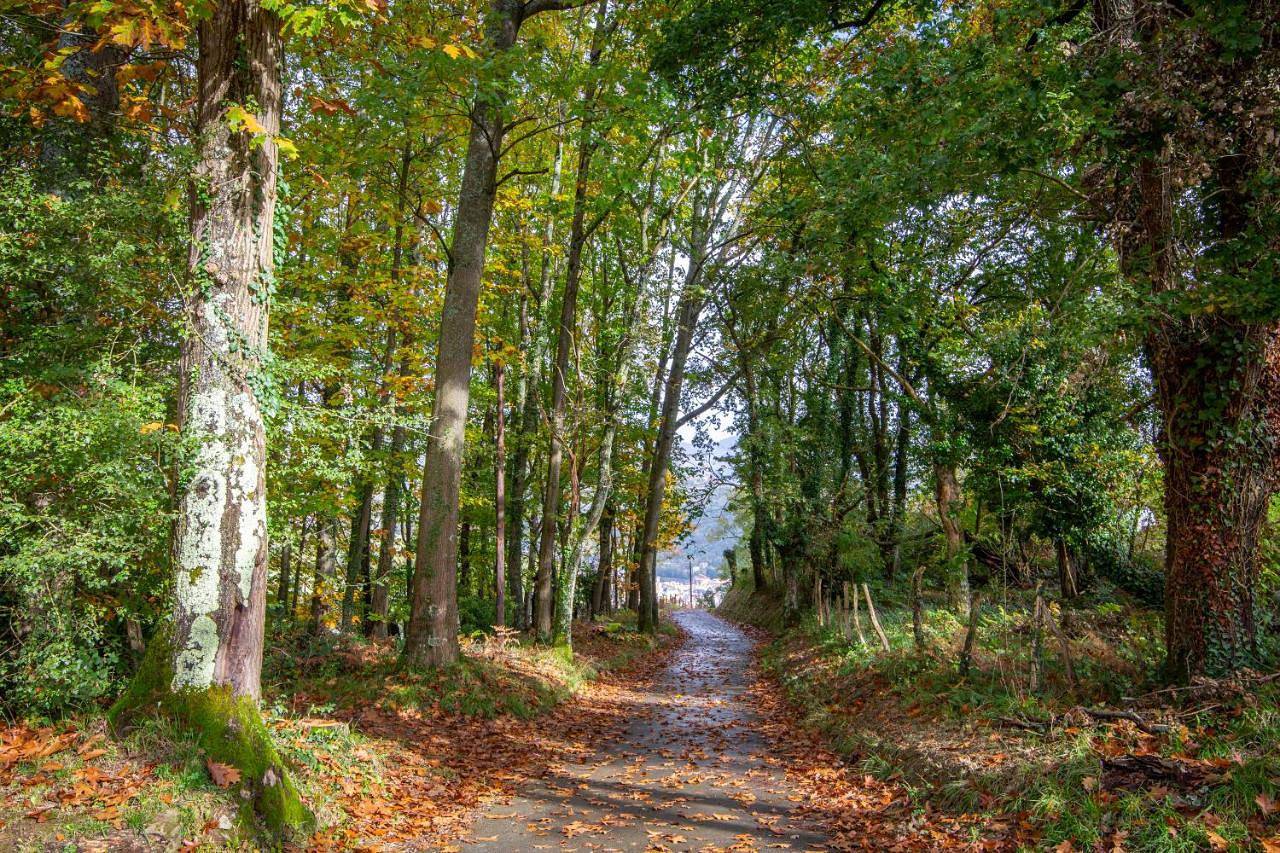 Casa Rural Korteta in Tolosa, Guipúzcoa